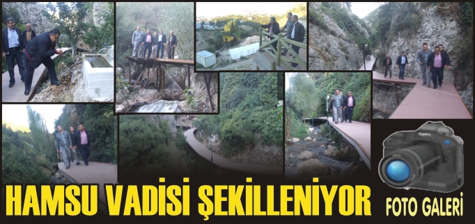 HAMSU CAZİBE MERKEZİ OLACAK