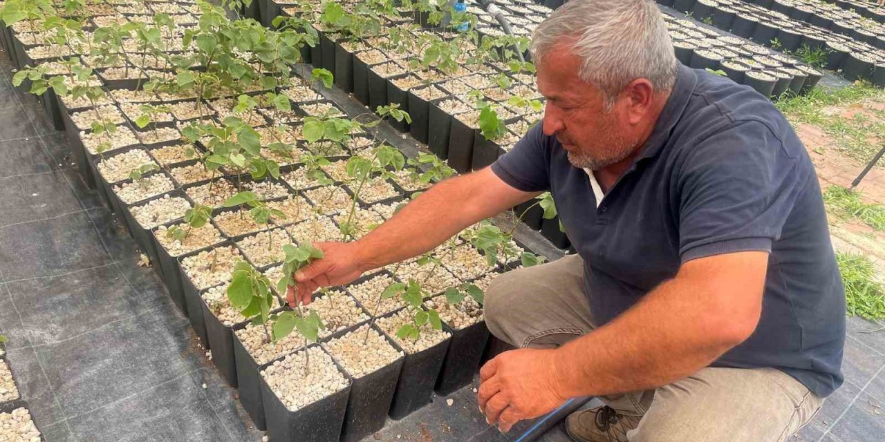 Türkiye’de Yapılmayanı Uludağ Eteklerinde Deniyorlar