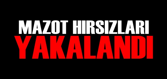 MAZOT HIRSIZLARI YAKALANDI