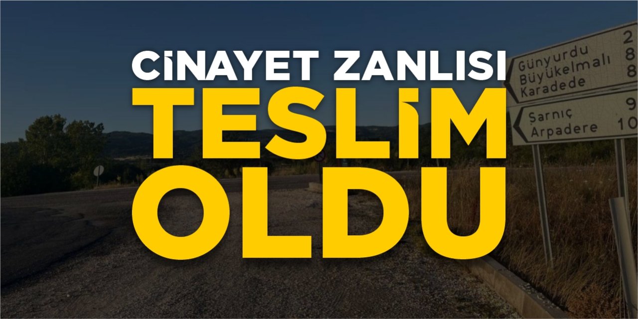 Cinayet zanlısı teslim oldu