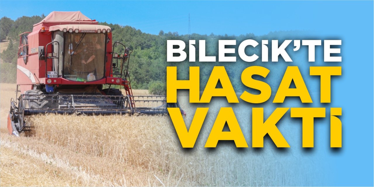 Bilecik'te hasat vakti!