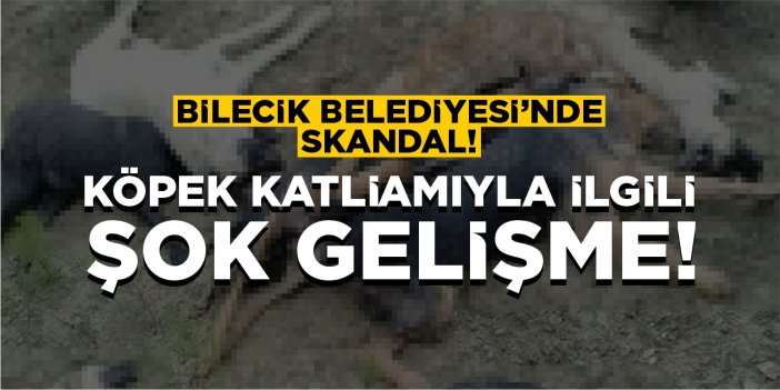 Köpek katliamıyla ilgili şok gelişme!
