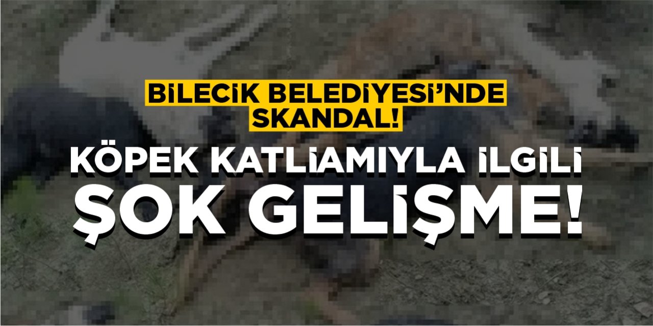 Köpek katliamıyla ilgili şok gelişme!