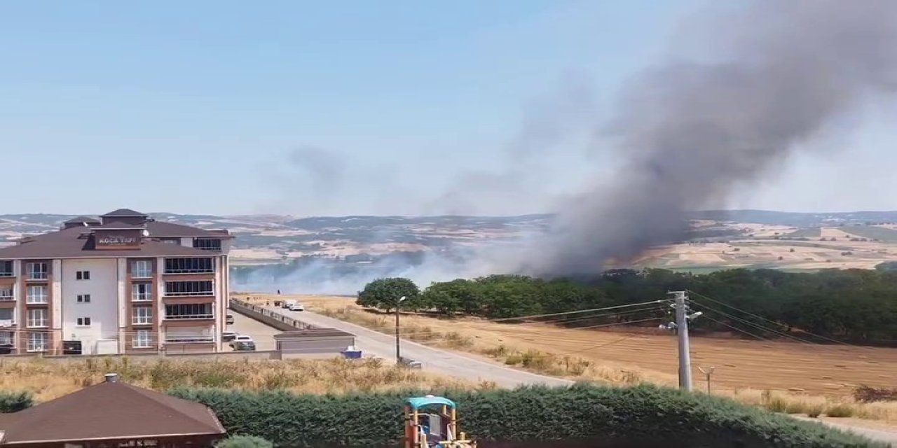 Korkutan Anız Yangını