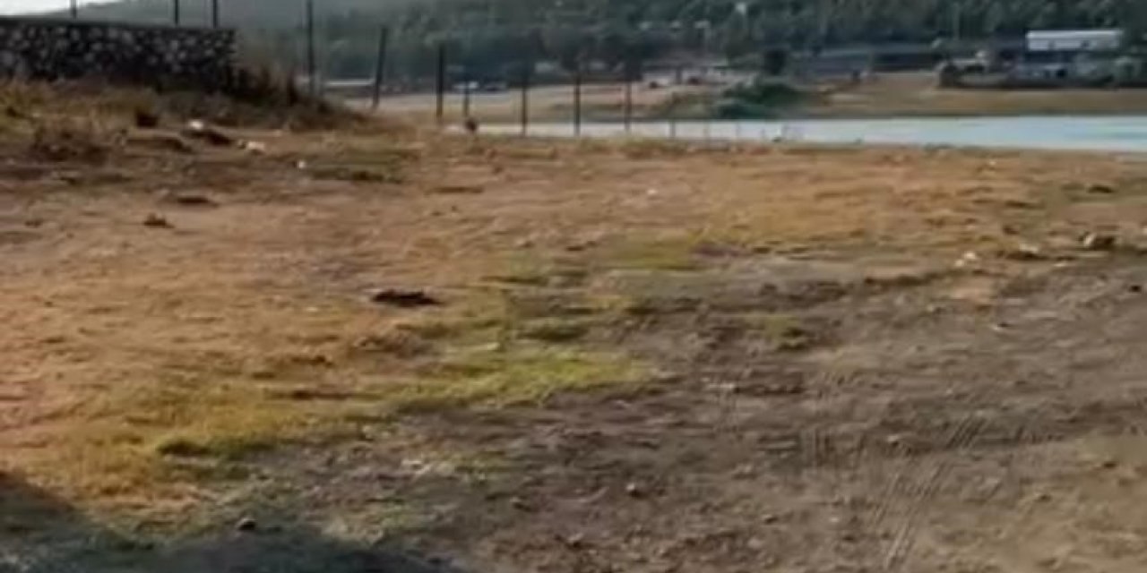 Yangına Müdahale Eden Jandarma Pilotundan Büyük Ustalık