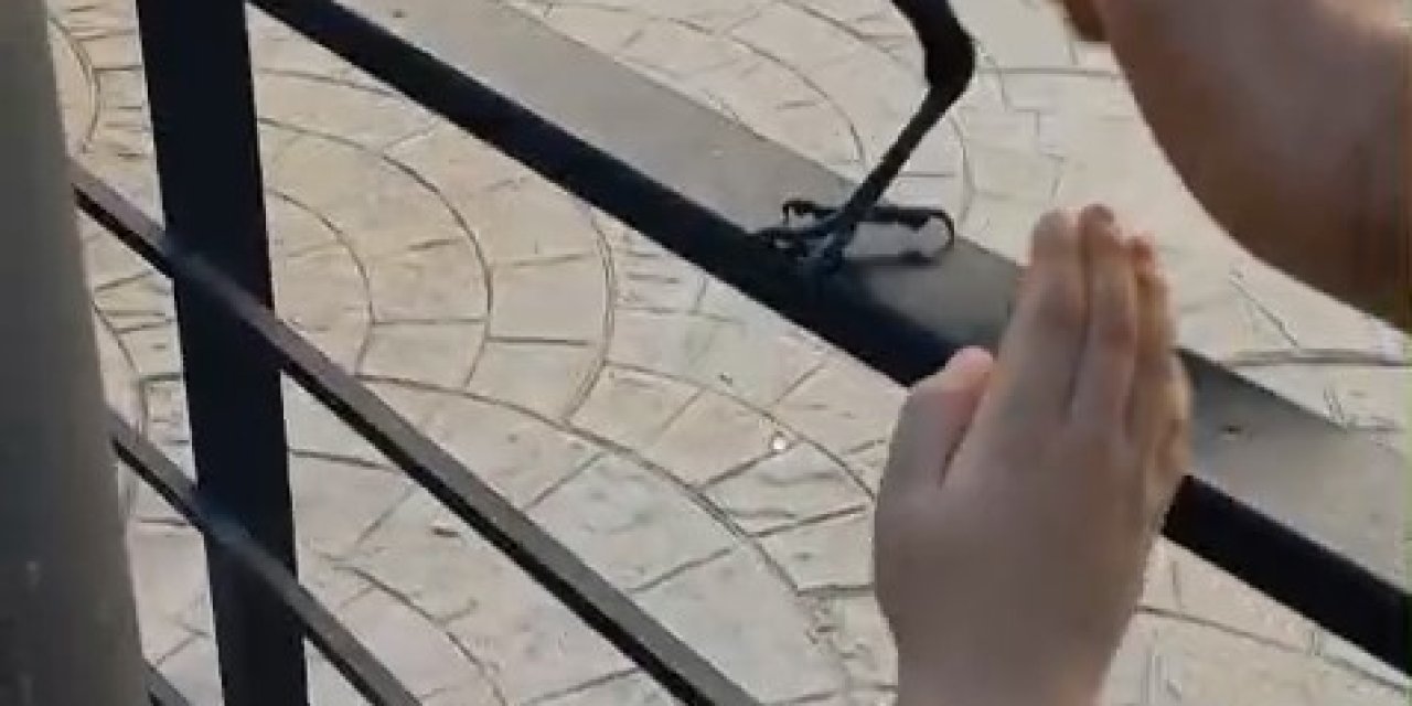 Yaralı Kargayı Esnaf Kurtardı