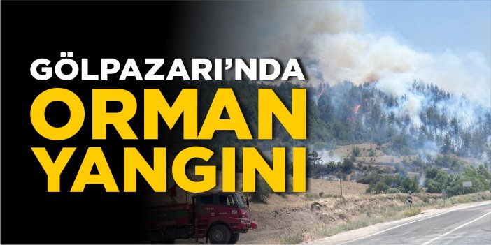 Gölpazarı'nda orman yangını!