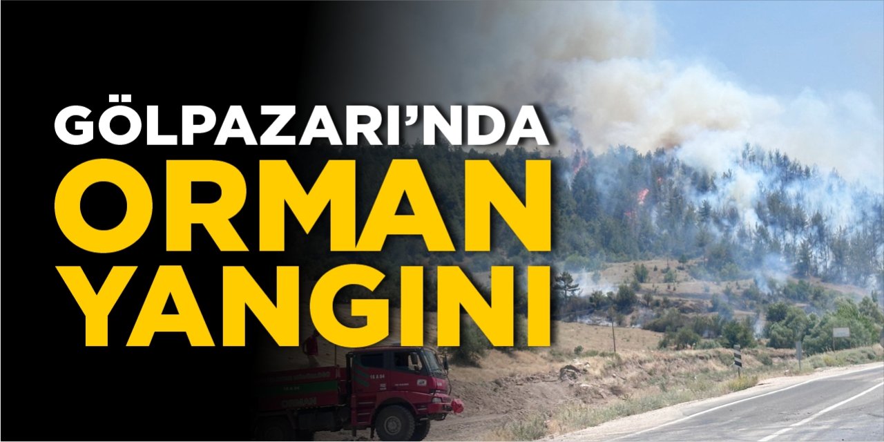 Gölpazarı'nda orman yangını!