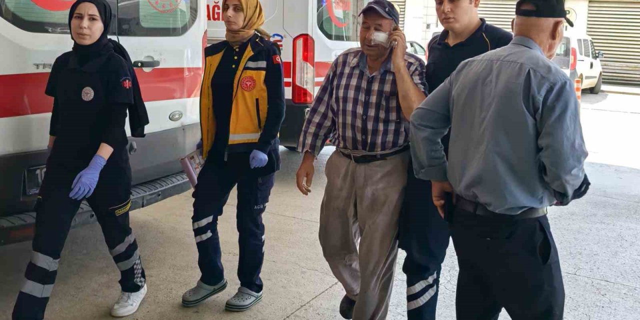 Kendini Serinletmeyen Bahçıvanı Darp Etti