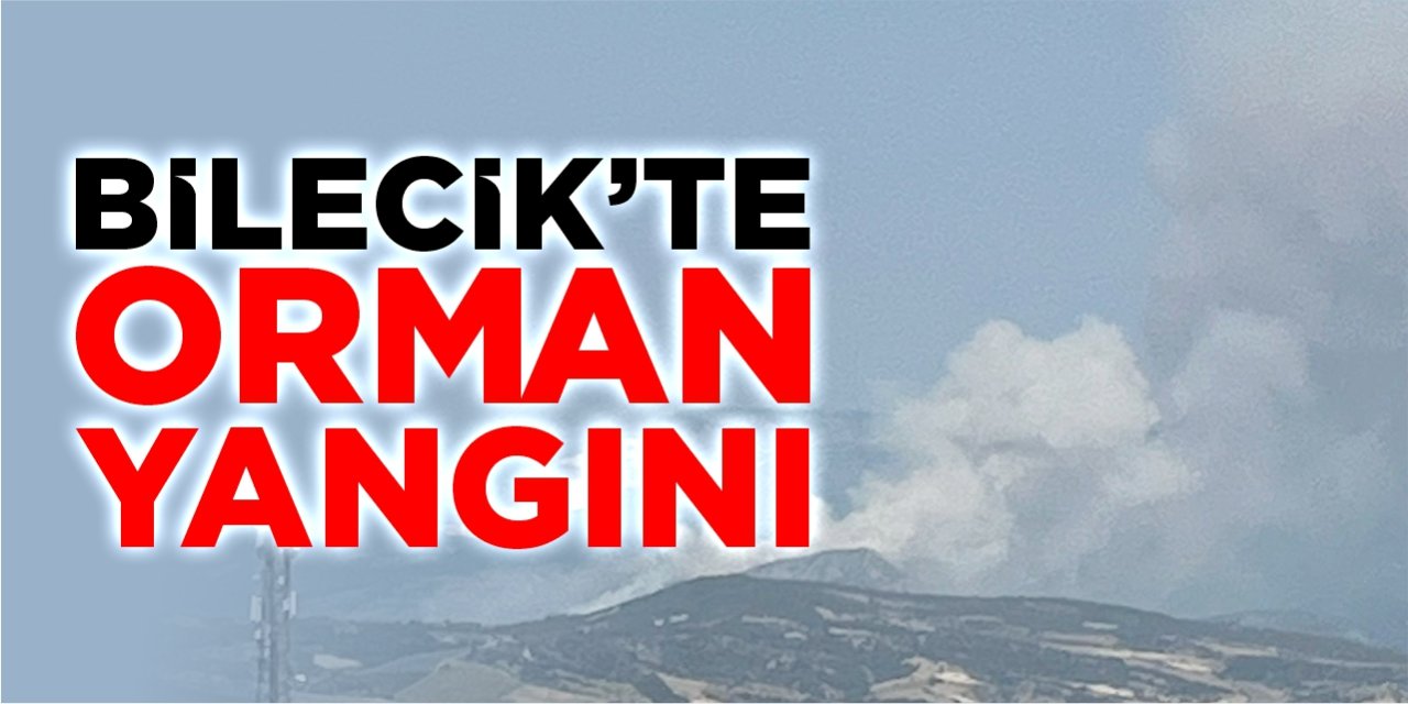 Bilecik'te orman yangını