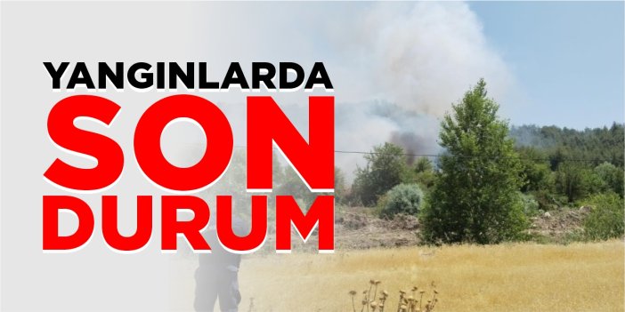 Orman yangınlarında son durum