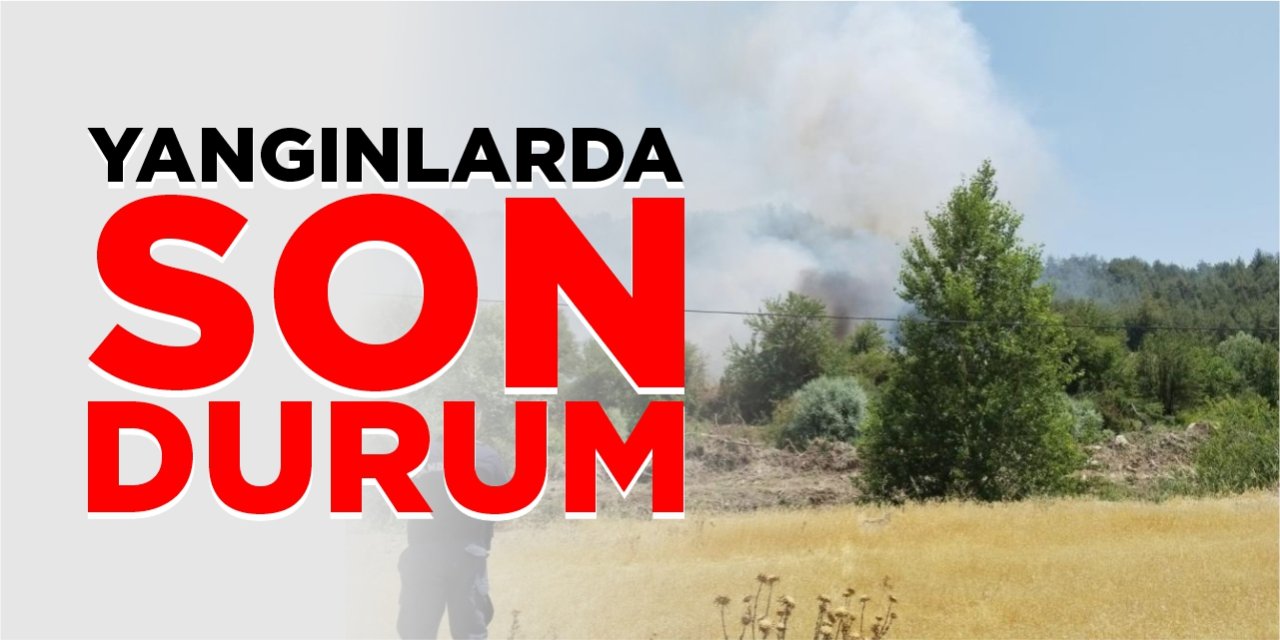 Orman yangınlarında son durum