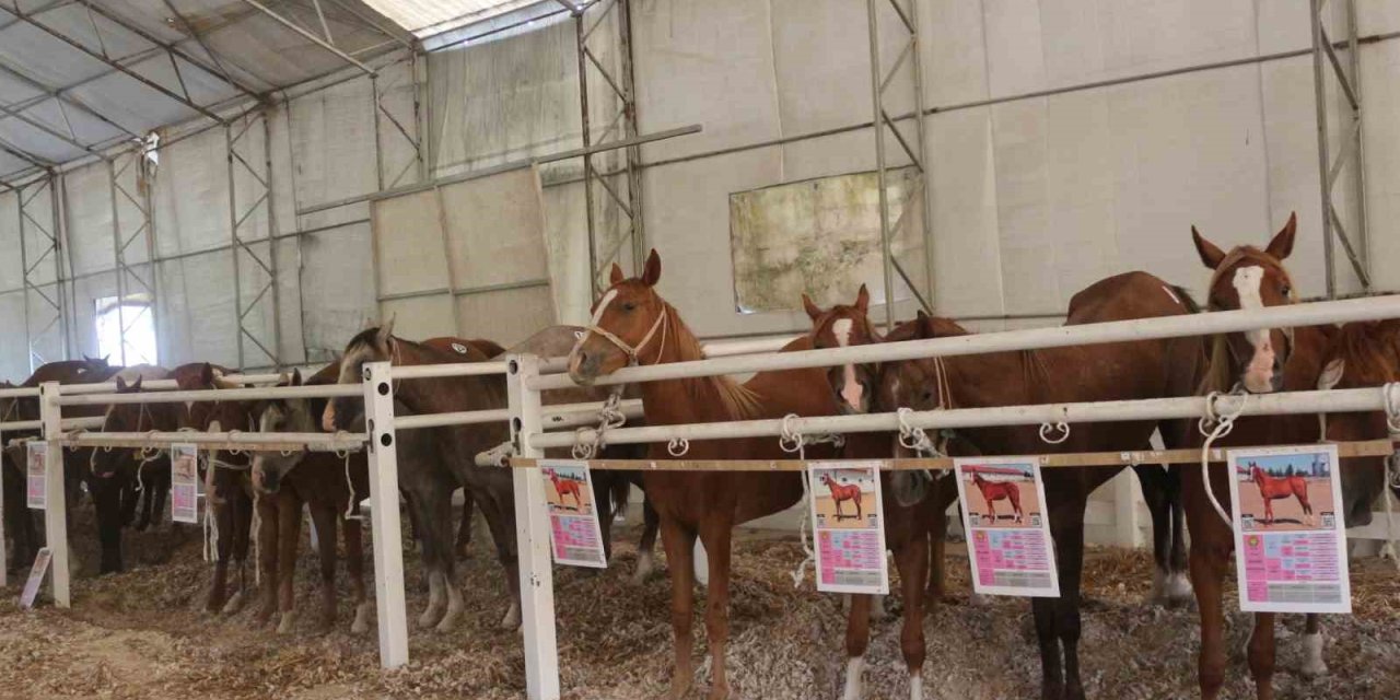 Tek Seferde 23 Milyon 45 Bin Liralık Gelir Elde Etti