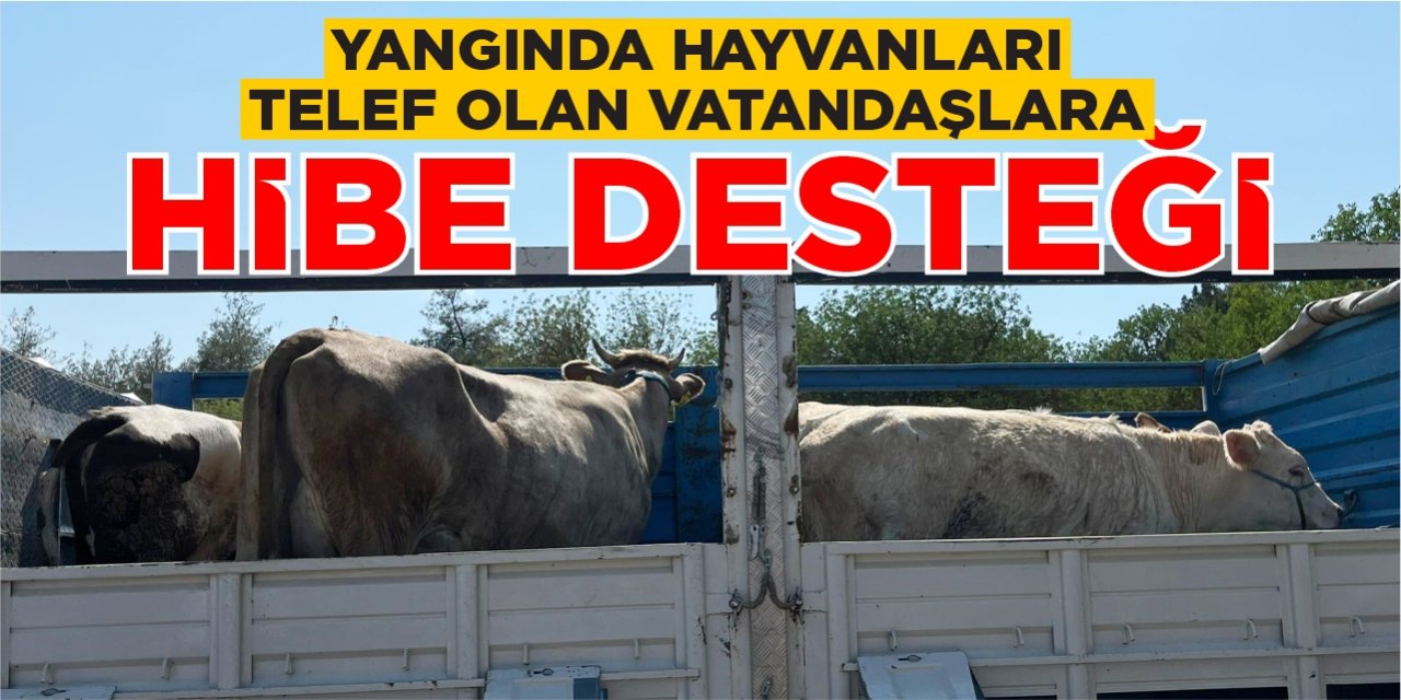 Yangında hayvanları telef olan vatandaşlara hibe desteği