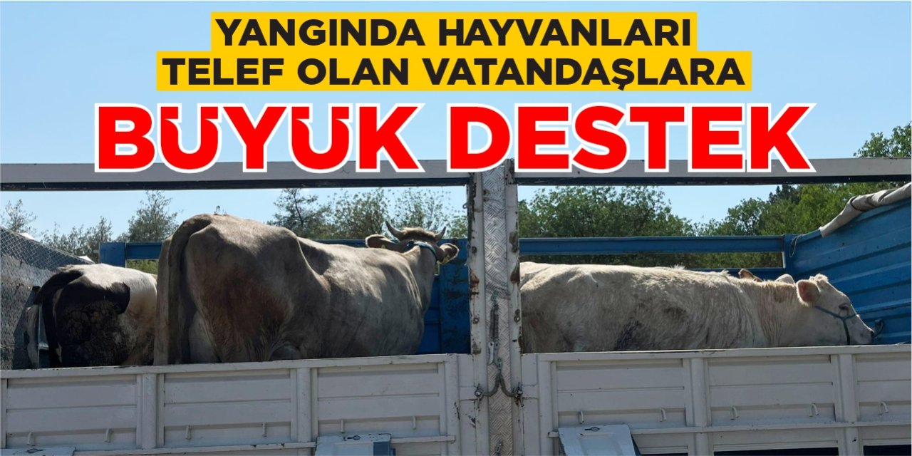 Yangında hayvanları telef olan vatandaşlara büyük destek