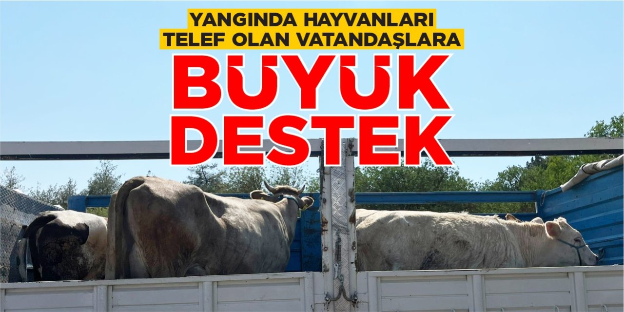 Yangında hayvanları telef olan vatandaşlara büyük destek