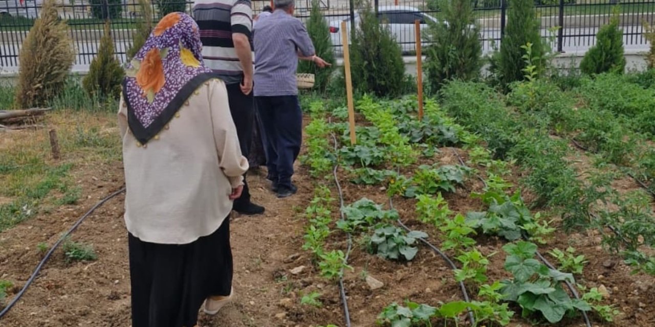 Bozüyük TRSM Danışanlarından Bahçe Etkinliği