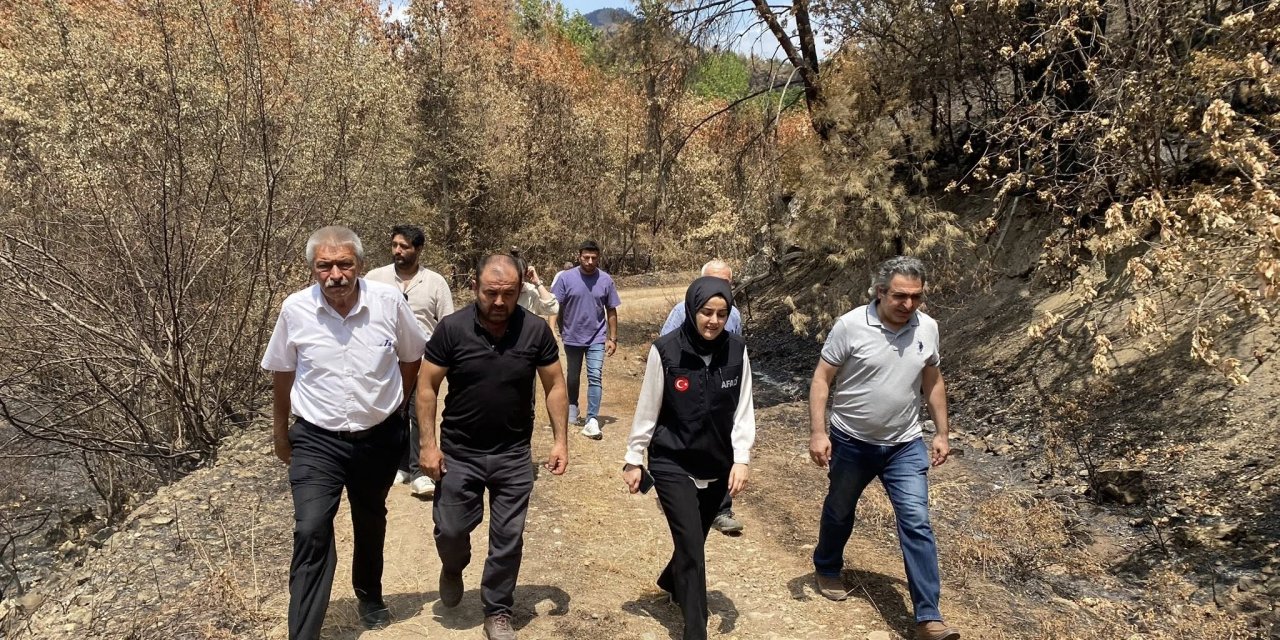 Köprücek Köyü’nde Sulama Göleti Etüt Çalışmaları