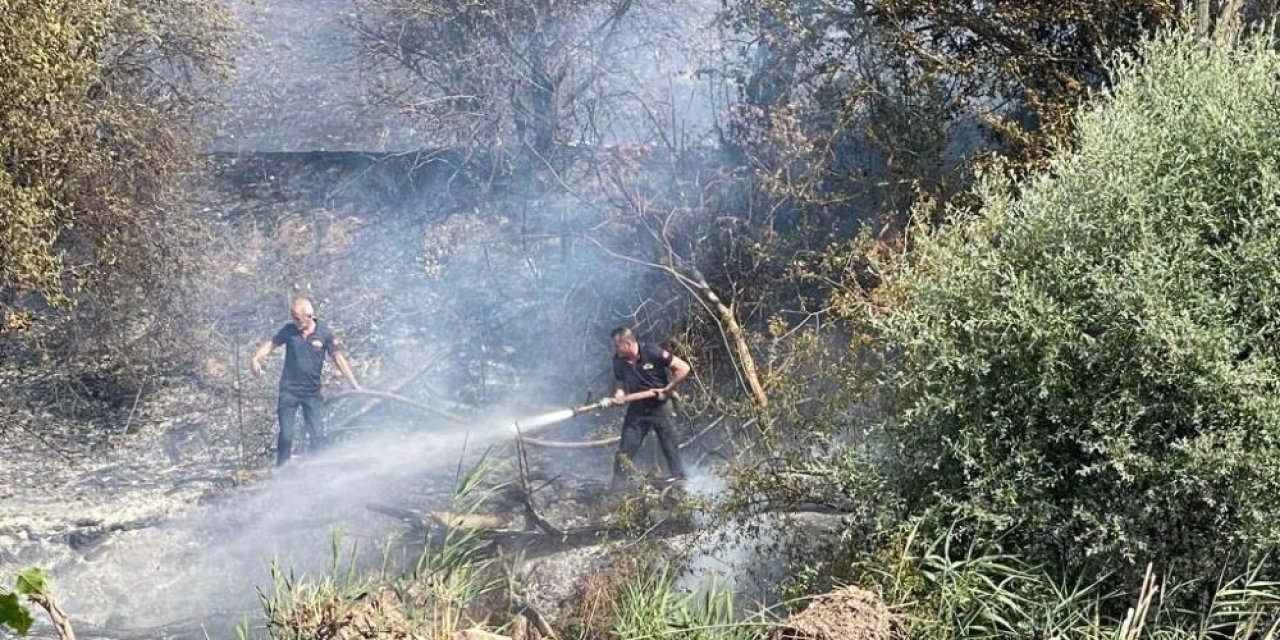 Taşınburnu Mevkiindeki Orman Yangında Soğutma Çalışmaları Sona Erdi
