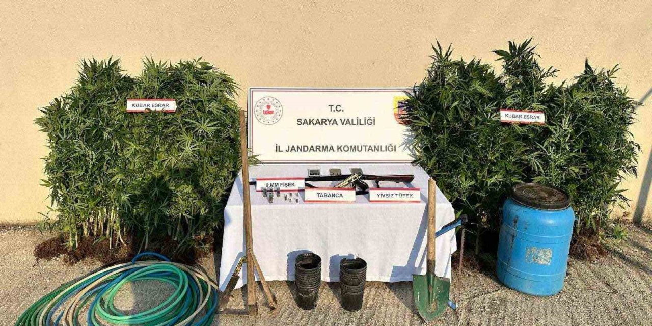 Uyuşturucu Operasyonu: 1 Tutuklama