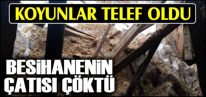 BESİHANENİN ÇATISI ÇÖKTÜ