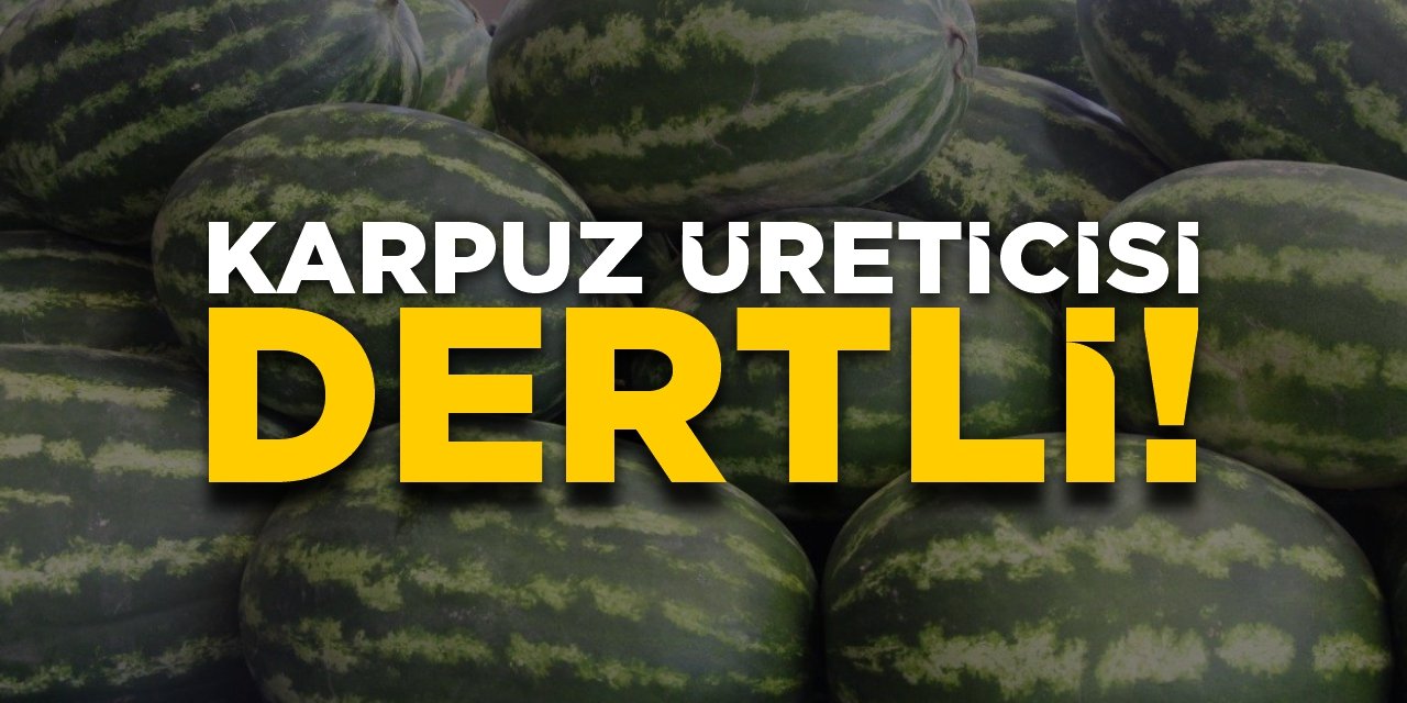 Karpuz üreticisi dertli!