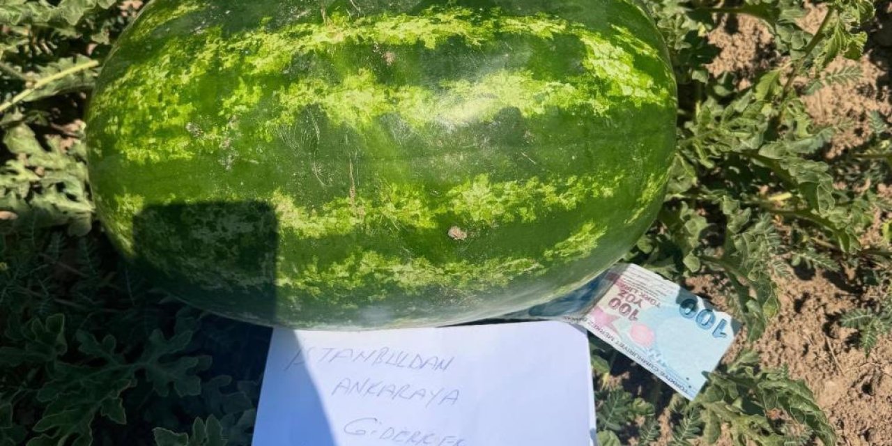 Karpuz üreticisini duygulandıran not