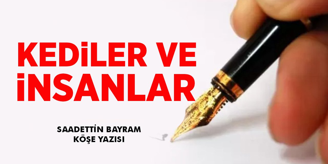 Kediler ve İnsanlar - Saadettin Bayram