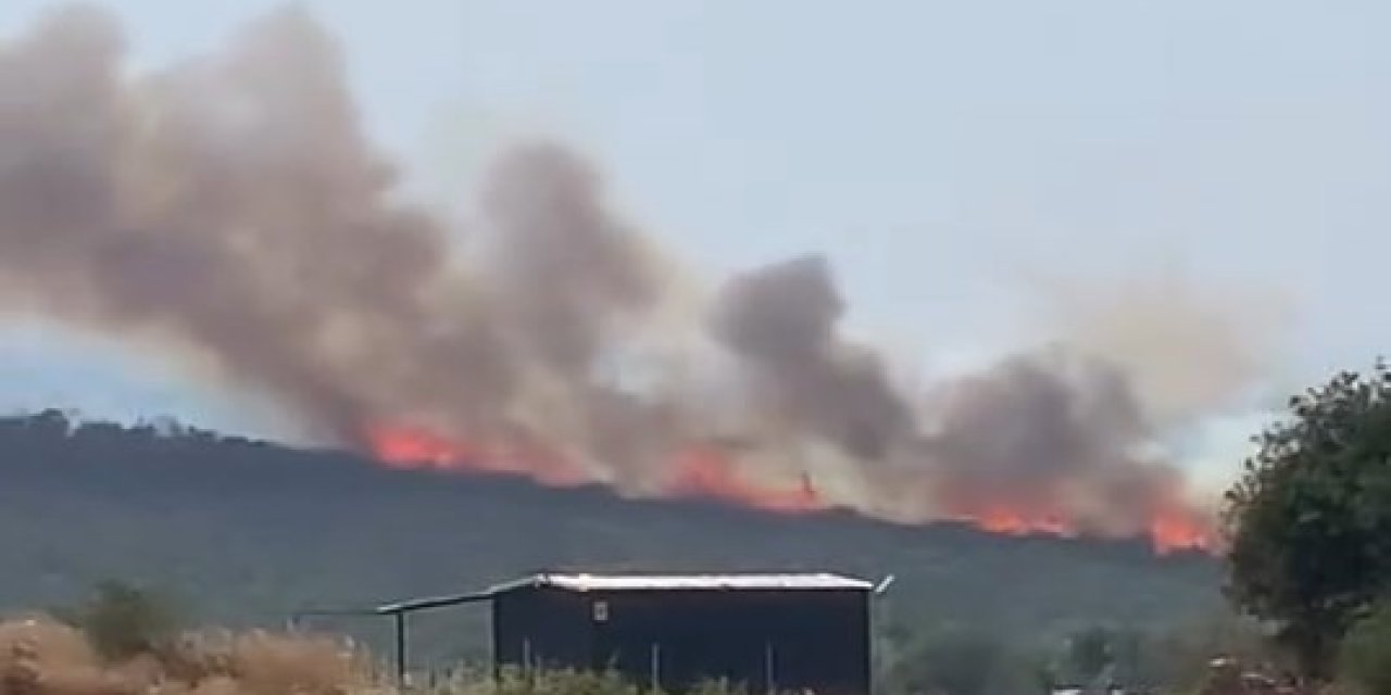 İki Ayrı Noktada Orman Yangını
