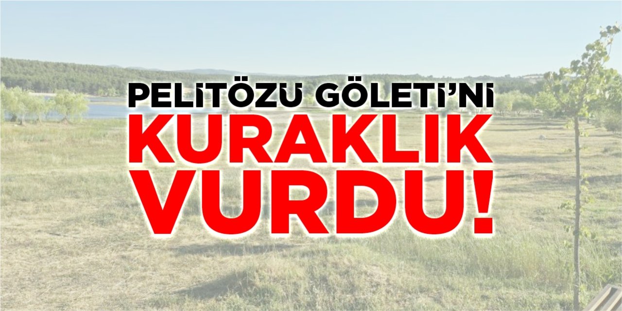 Pelitözü Göleti'ni kuraklık vurdu