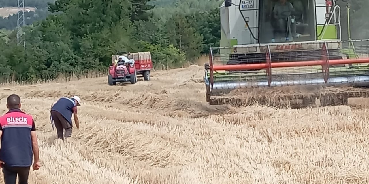 Gölpazarı'nda Biçerdöver ve Hasat Kontrolleri