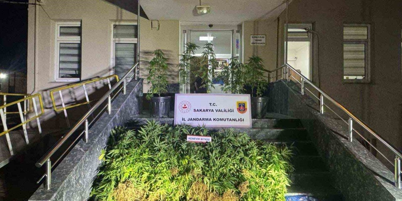 Jandarma Uyuşturucuya Geçit Vermiyor: 1 Tutuklama