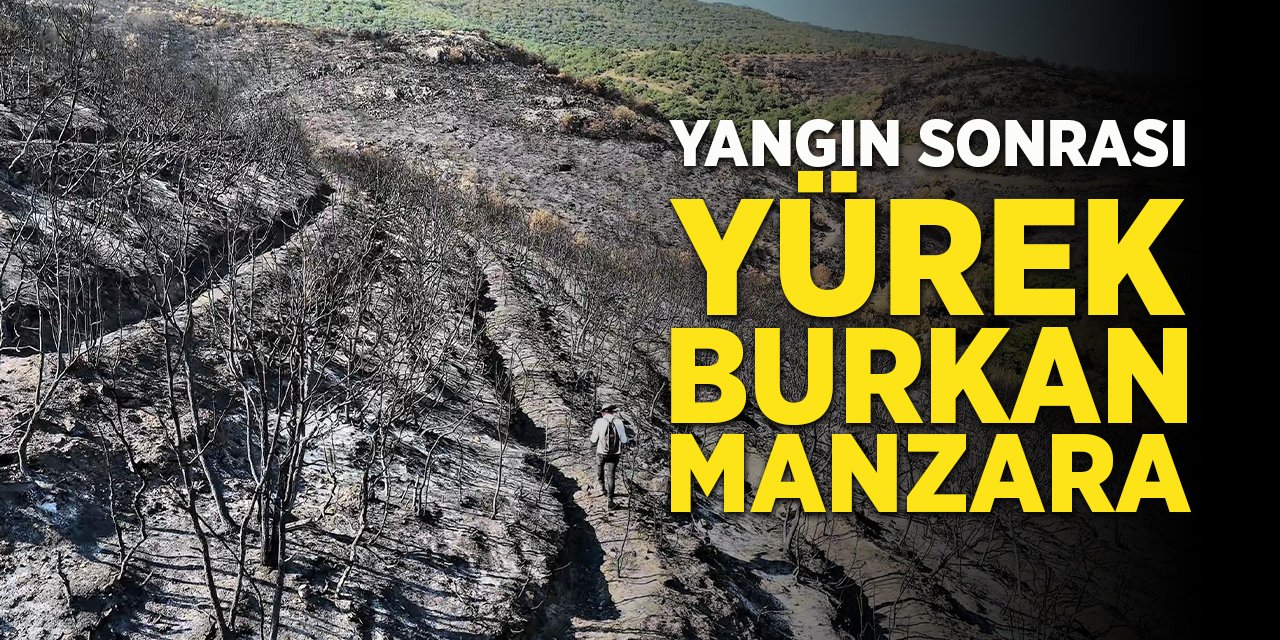Yangın Sonrası Yürek Burkan Manzara