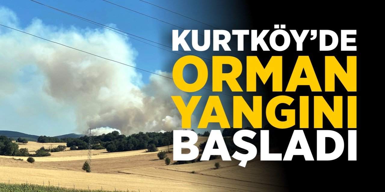 Kurtköy'de orman yangını başladı