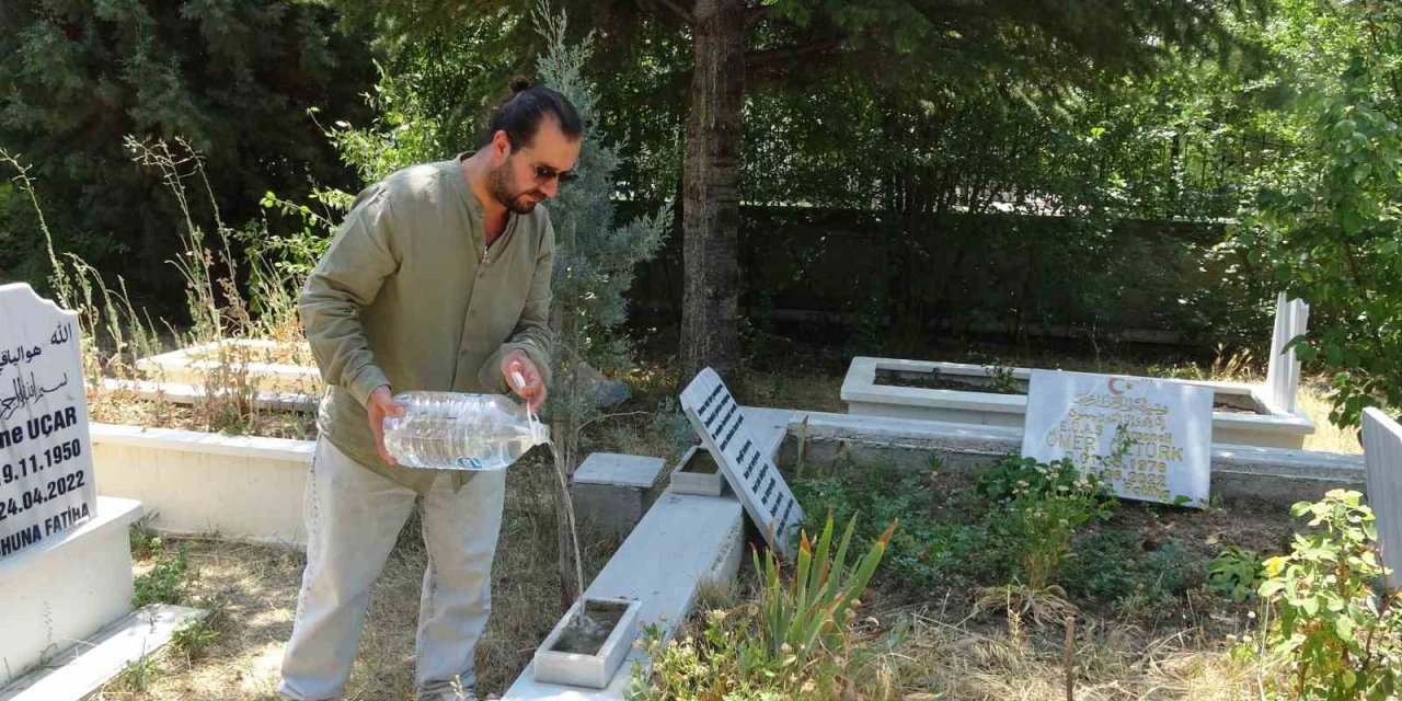 Mezarlık İçinde Kendisini Sevdiren Karga Şaşırttı