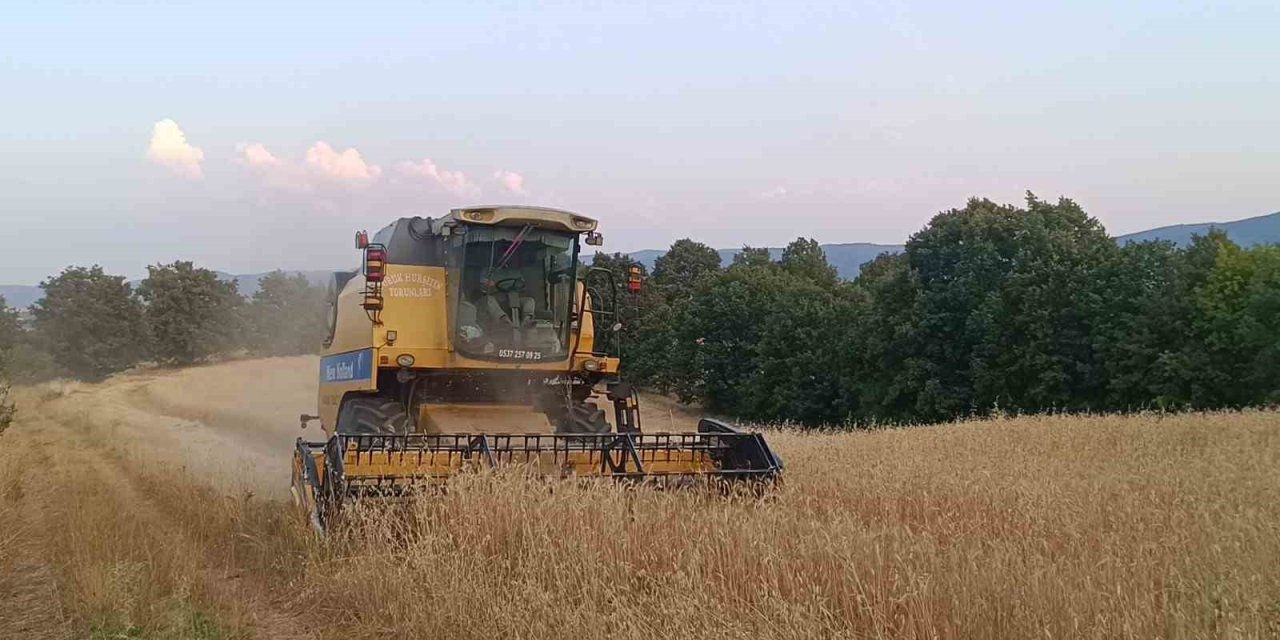 Tarım Şehri Bilecik’te Arpa Ve Buğday Bereketi