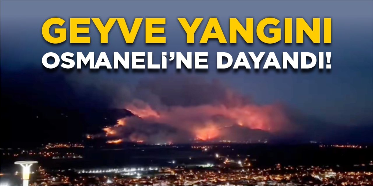 Geyve yangını Osmaneli’ne dayandı