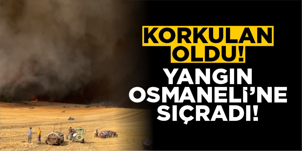 Korkulan oldu! Yangın Osmaneli'ne sıçradı!