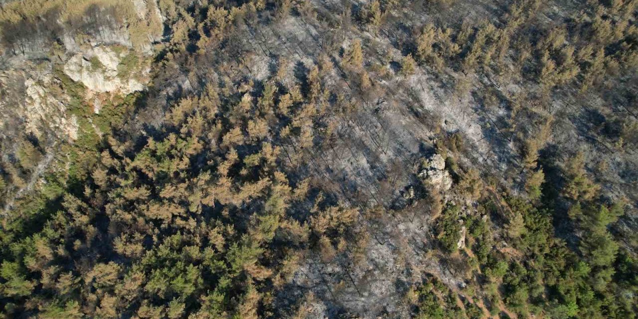 Dumanlar Dağıldı, Yangının Hasarı Ortaya Çıktı