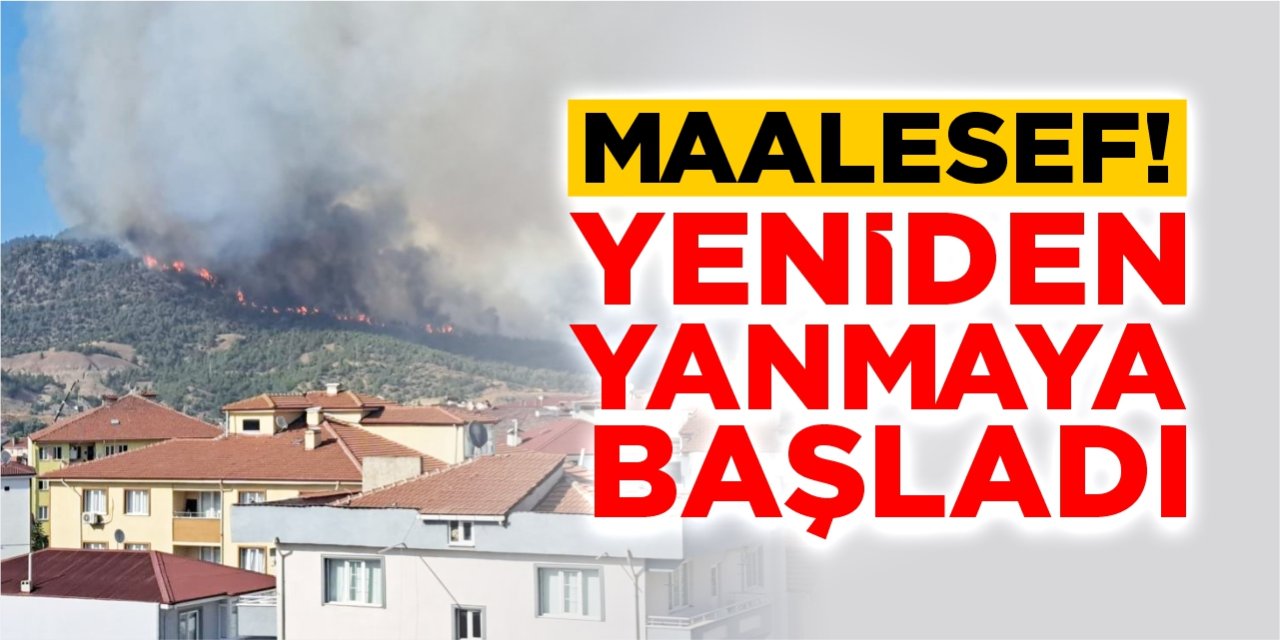 Osmaneli yangını yeniden alevlendi