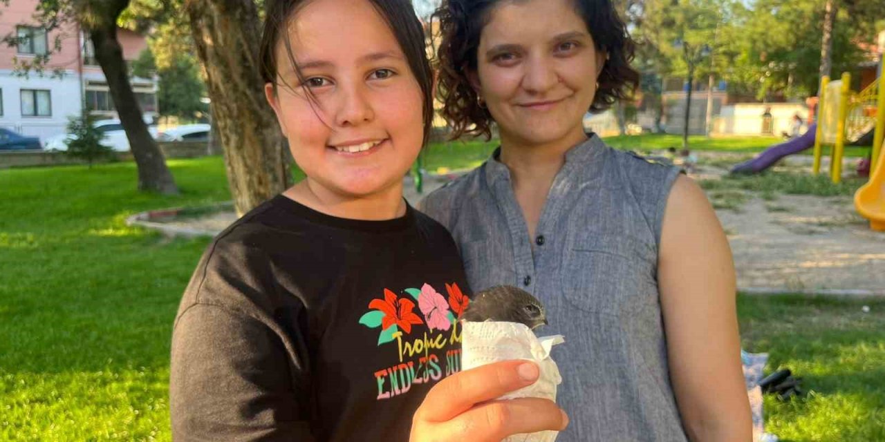Yaralı Ebabil Kuşu Tavşanlı’da Şefkatli Ellerde