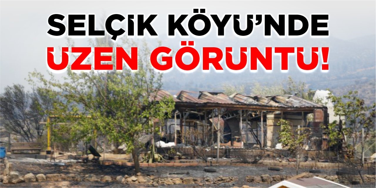 Selçik Köyü'nde üzen görüntü