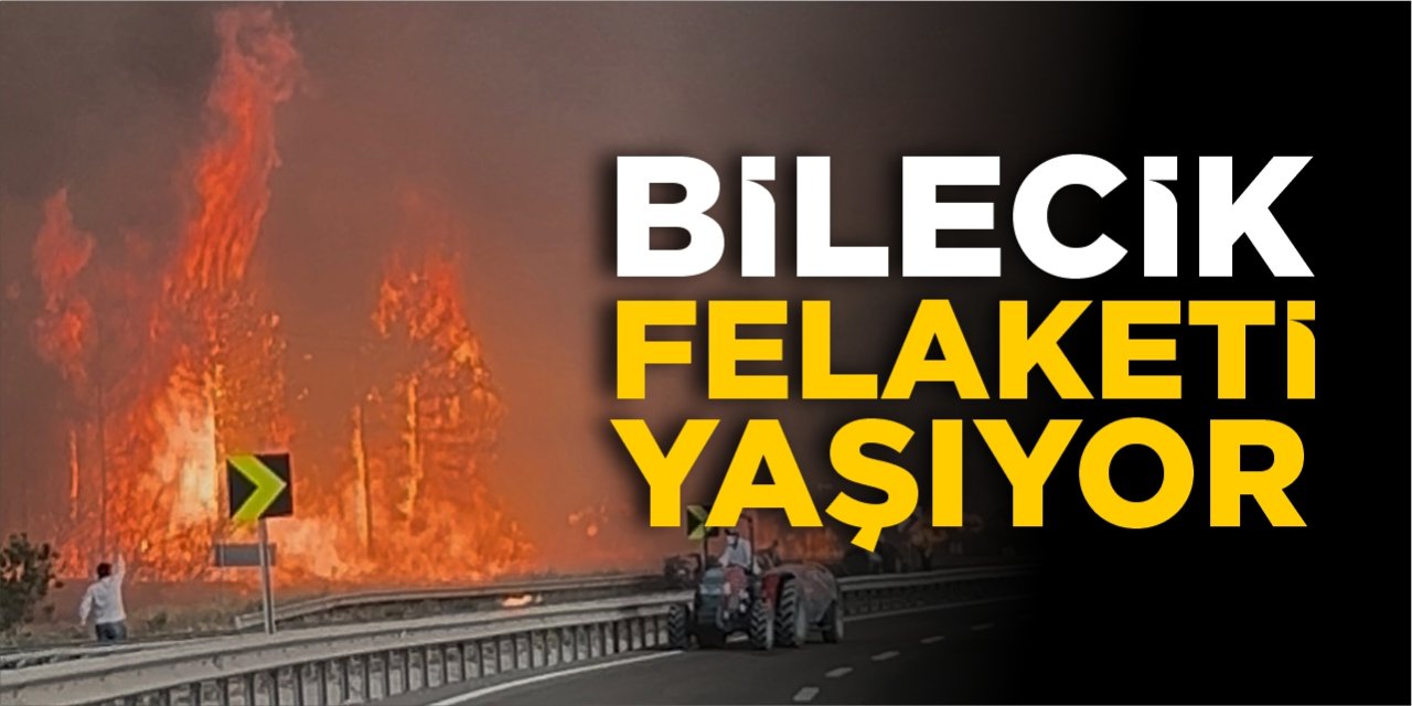 Bilecik felaketi yaşıyor