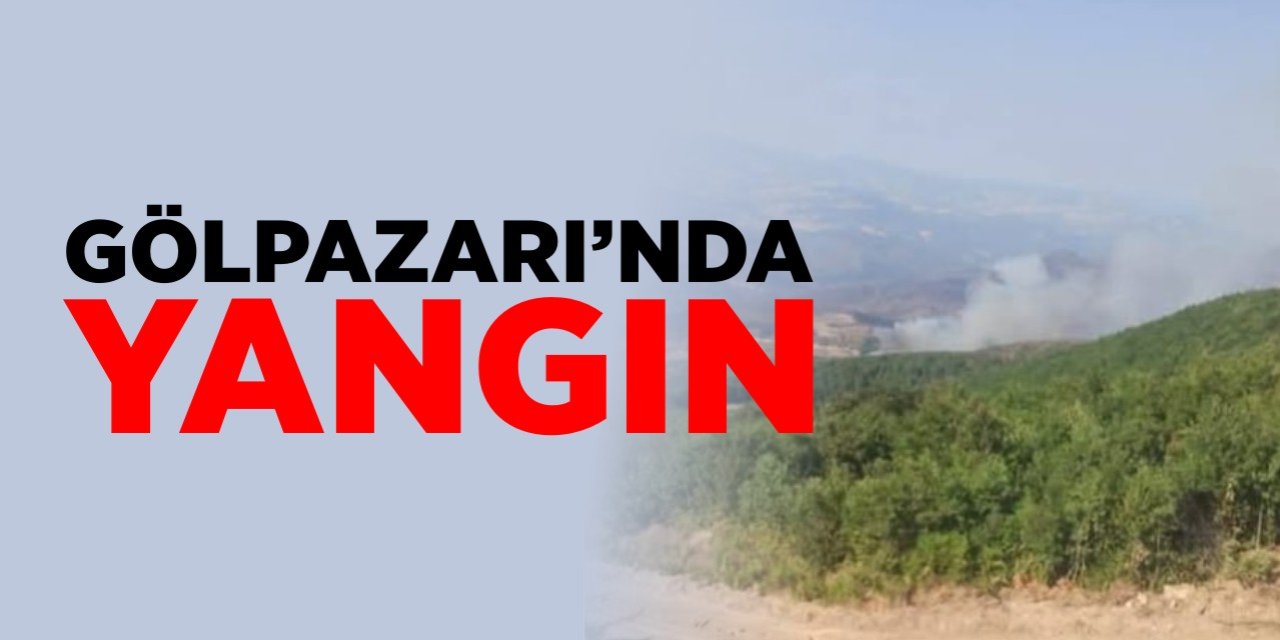 Gölpazarı'nda yangın!