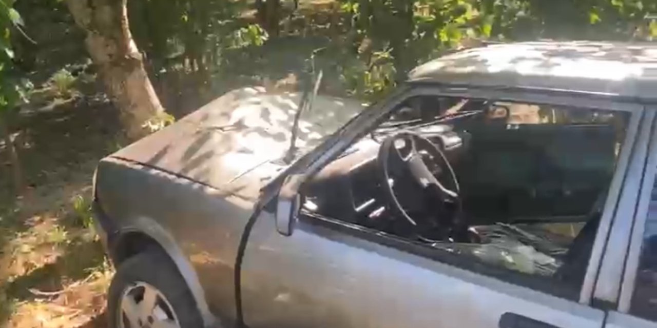 Kontrolden Çıkan Araç Ağaca Çarptı