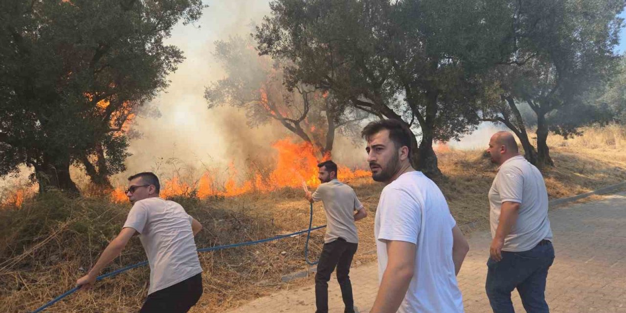 20 Zeytin Ağacı Yandı: 2 Çocuk Gözaltında