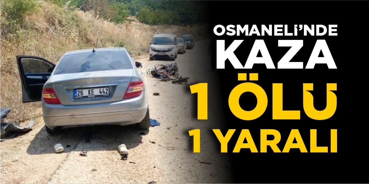 Osmaneli'nde kaza: 1 ölü 1 yaralı