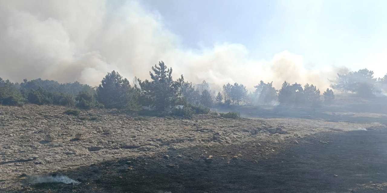 Orman Yangını Korkuttu