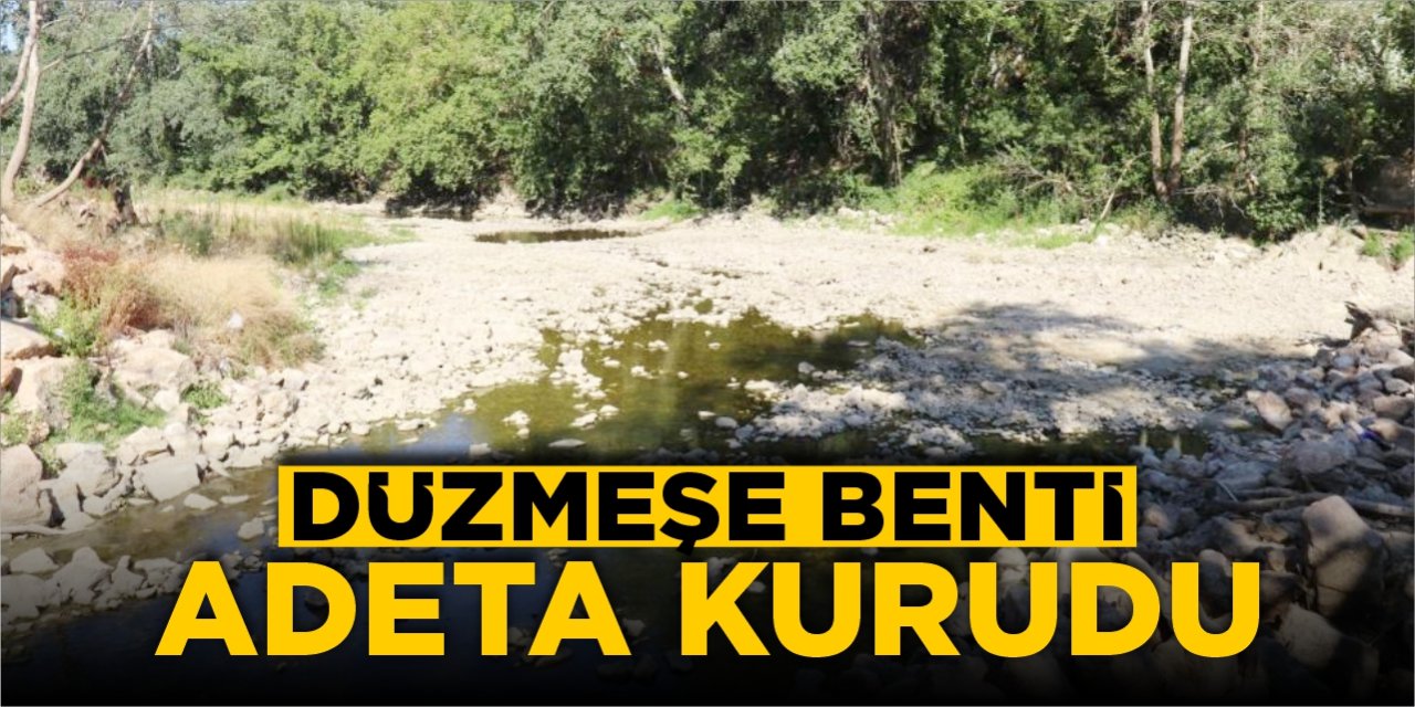Düzmeşe benti adeta kurudu