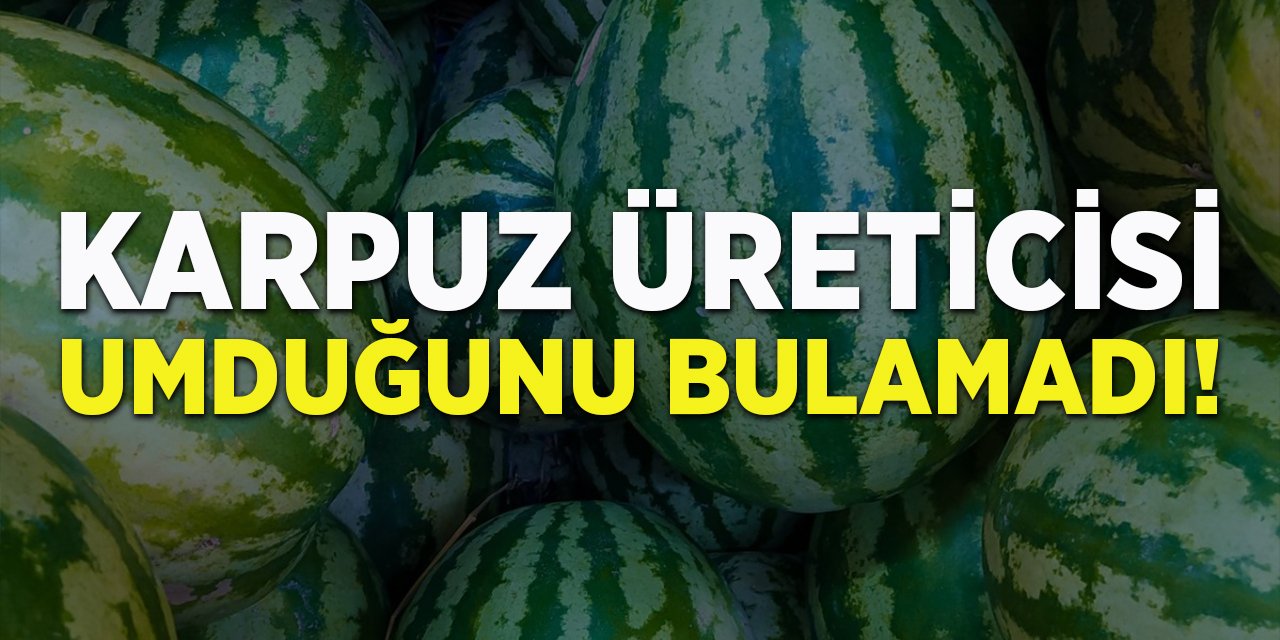 Karpuz üreticisi umduğunu bulamadı!
